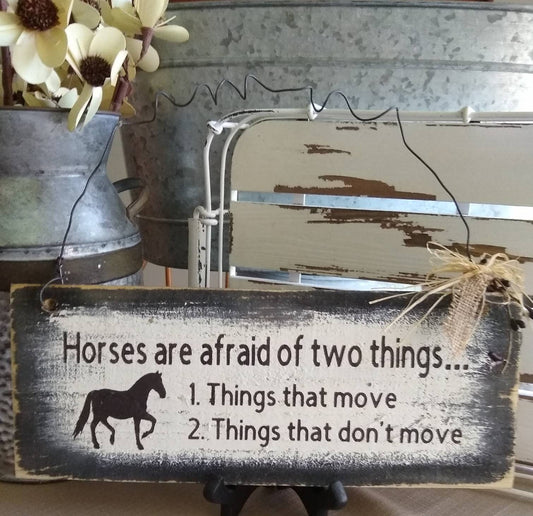 Horses are afraid of Two things